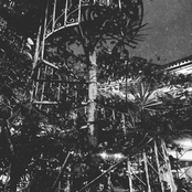 You're Pretty, But You Smell Like a Siakol Song