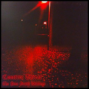 The pine grove killings