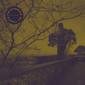 Comme un lion en cage