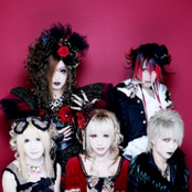 hizaki grace project