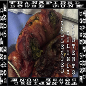 Collected Colonic Contents