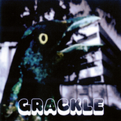 Fragile by Grackle