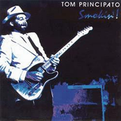 Well Oh Well by Tom Principato