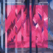 A Place to Bury Strangers: Transfixiation