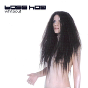 Whiteout cover