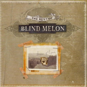 Tones Of Home: The Best Of Blind Melon