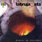 Manual De Pociones by La Bruja Gata