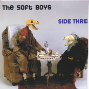 Evil Guy by The Soft Boys