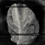 Earthbound Akupunkture