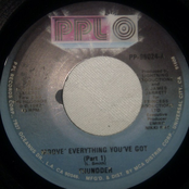 Moove' Everything You've Got