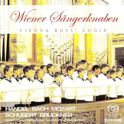Choral Music (Sacred) - Handel, G.F. / Mozart, W.A. / Schubert, F. / Haydn, F.J. / Herbeck, J.R. / Bach, J.S. / Bruckner, A.