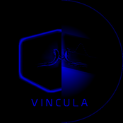 Vincula