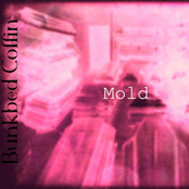 Mold