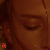 Stay - Single