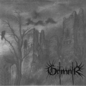 Austrian Black Metal Storm