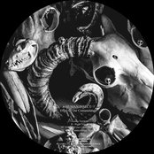 Effect Of Our Contamination