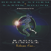 Desert Storm Presents Ragga Jungle Volume One