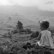 Old Walls (Evangeline's Song)