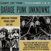 Last Of The Garage Punk Unknowns Vol 1&2