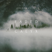 Faded Calyx