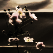 GY!BE Hanzas Peronā [12-04-2024]