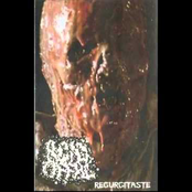 Regurgitaste