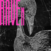 RAVEn
