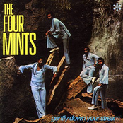 Gently Down Your Stream