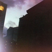 forever (in my vision)