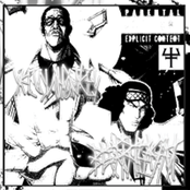 BLUE PHEASANT / YELLOW MONKEY