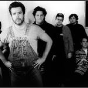 mojo nixon & the toadliquors