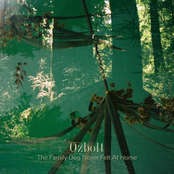 The Family Dog Never Felt At Home