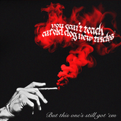 you can't teach an old dog new tricks, but this one's still got 'em