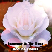 Healing Flower