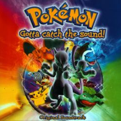 Pokemon Gotta Catch the Sound!