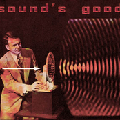 nie znajdziesz dubu tam gdzie go nie ma