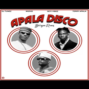 APALA DISCO (feat. Wizkid, Seyi Vibez & Terry Apala) [Remix]