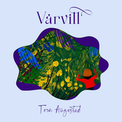 Vårvill