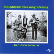 Bakklandet Bassangforening