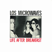 Reckless Dialogue by Los Microwaves