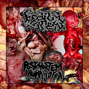 BODILY STEW//POSTMORTEM HUMAN OFFAL