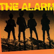 Up For Murder by The Alarm