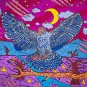 Verticality///Singularity