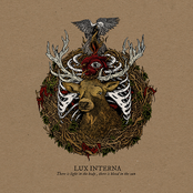 Seed by Lux Interna