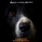 It's Special (Dog's Friendly)
