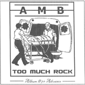 Too Much Rock: Album #7+ Advance