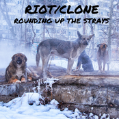 Rounding Up the Strays