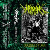 Obedient Form Artwork