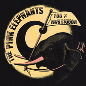 The Pink Elephants (EP)