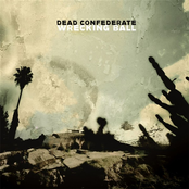 Wrecking Ball by Dead Confederate